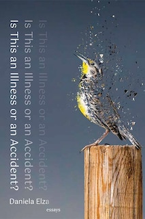 Front cover_Is This an Illness or an Accident?