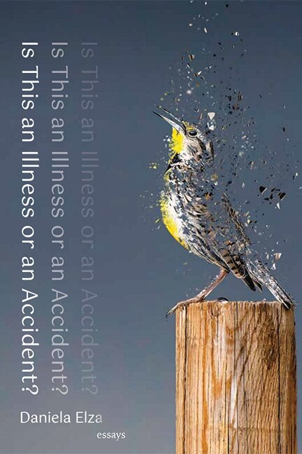 Front cover_Is This an Illness or an Accident?