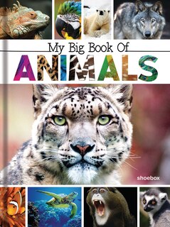 Couverture_My Big Book of Animals