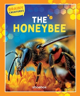 Front cover_The Honeybee