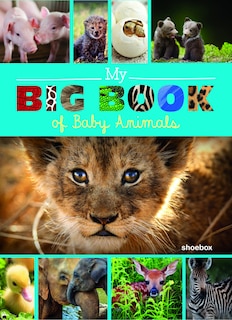 Couverture_My Big Book of Baby Animals
