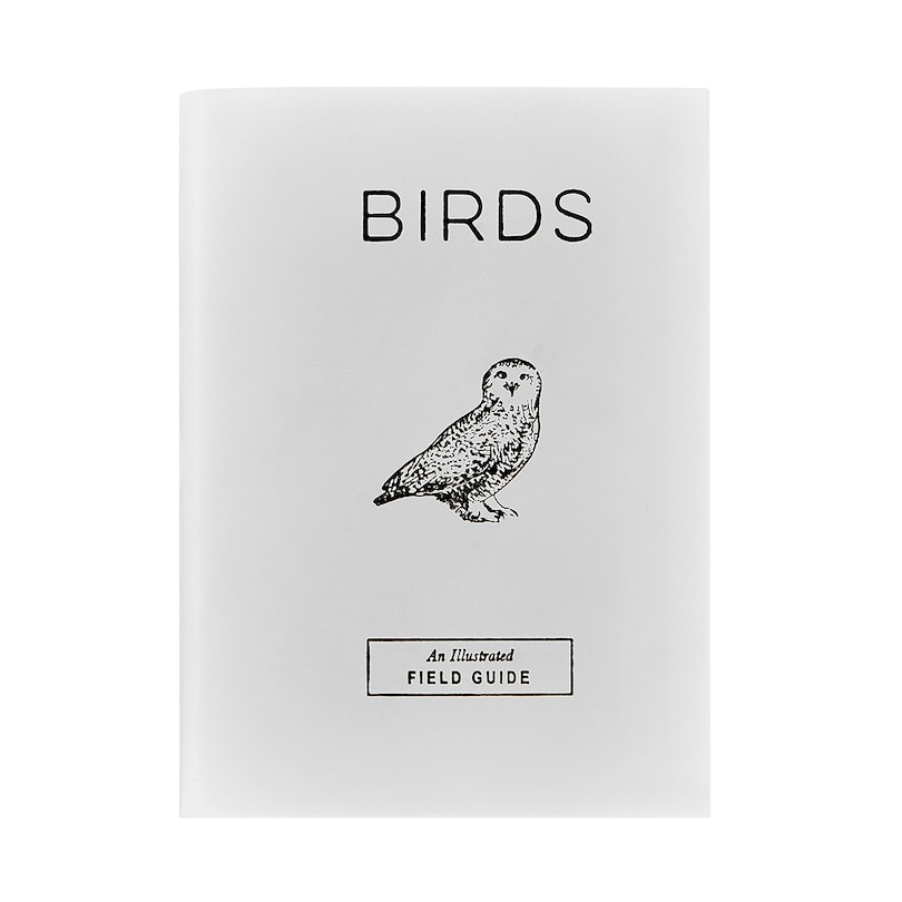 Front cover_BIRDS