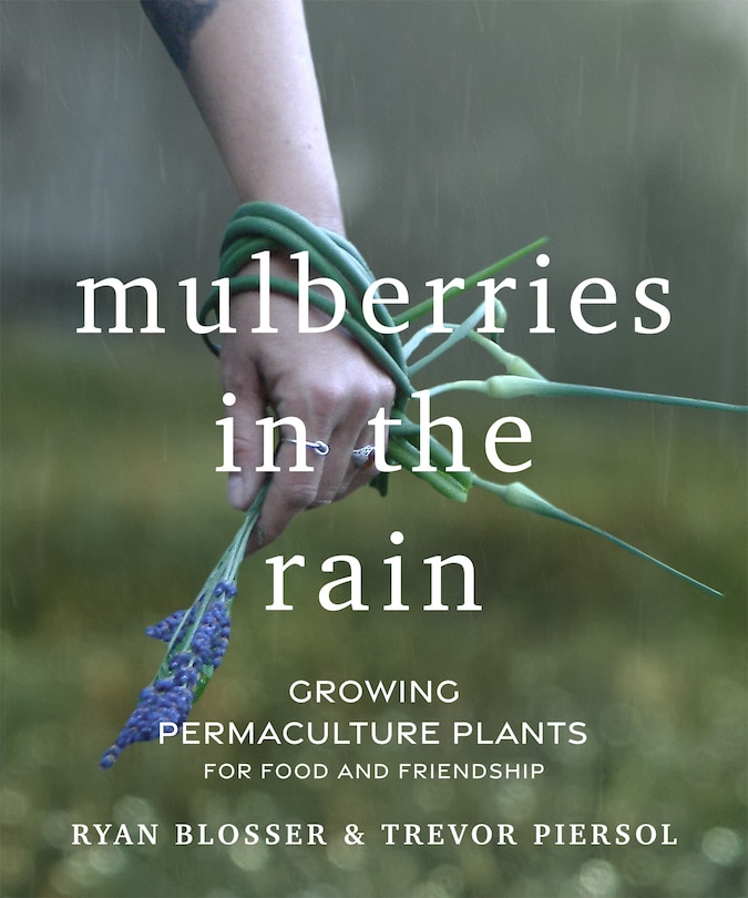Front cover_Mulberries in the Rain