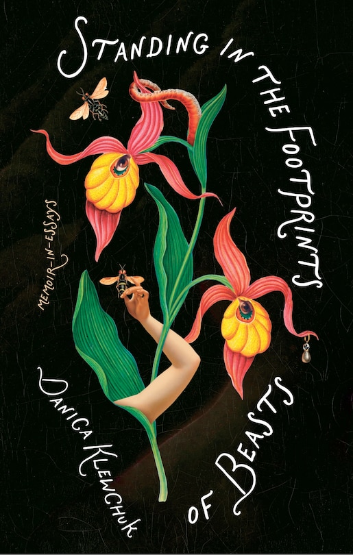 Front cover_Standing in the Footprints of Beasts