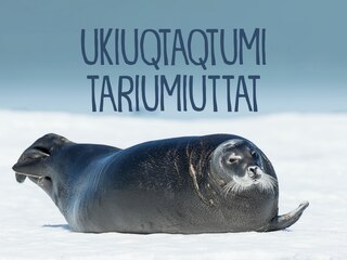 Couverture_Animals That Live In Arctic Waters