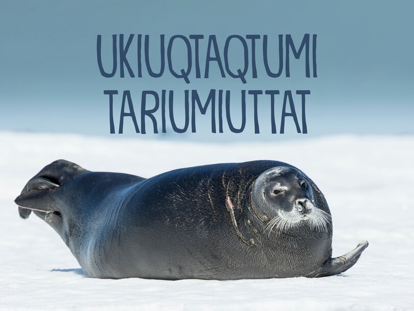 Couverture_Animals That Live In Arctic Waters