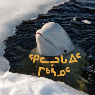Front cover_All About Belugas