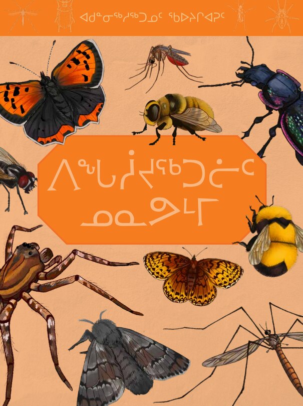Front cover_Junior Field Guide: Insects Of Nunavut