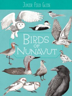 Junior Field Guide: Birds Of Nunavut: English Edition