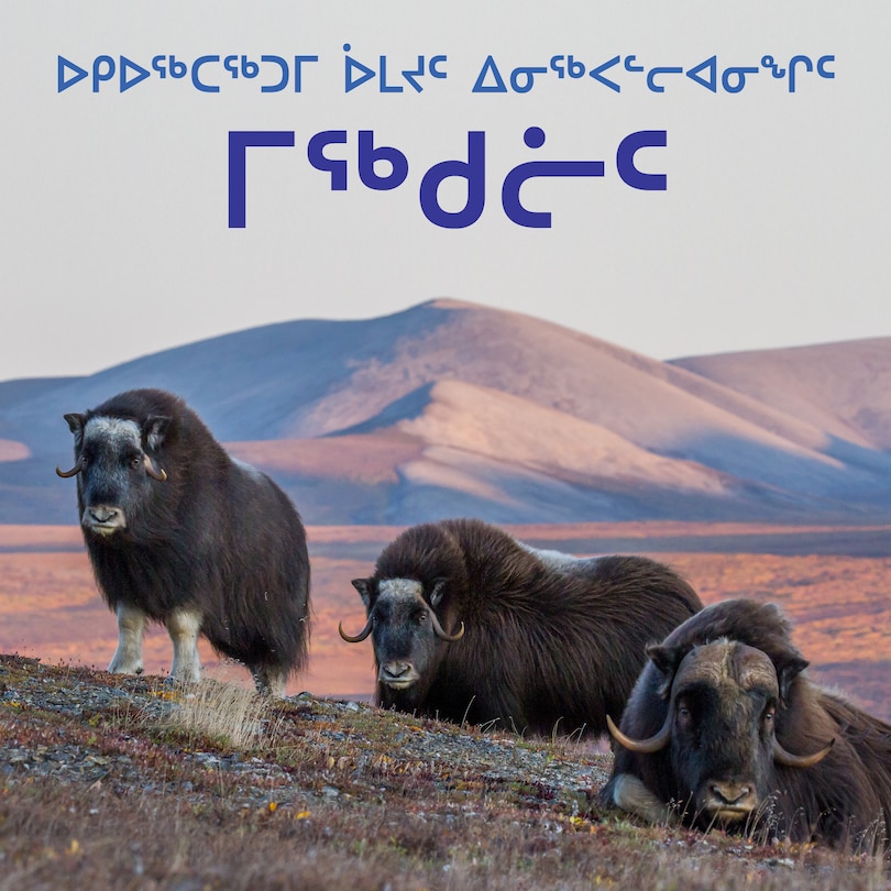 Couverture_Arctic Animal Life Cycles: Mammals