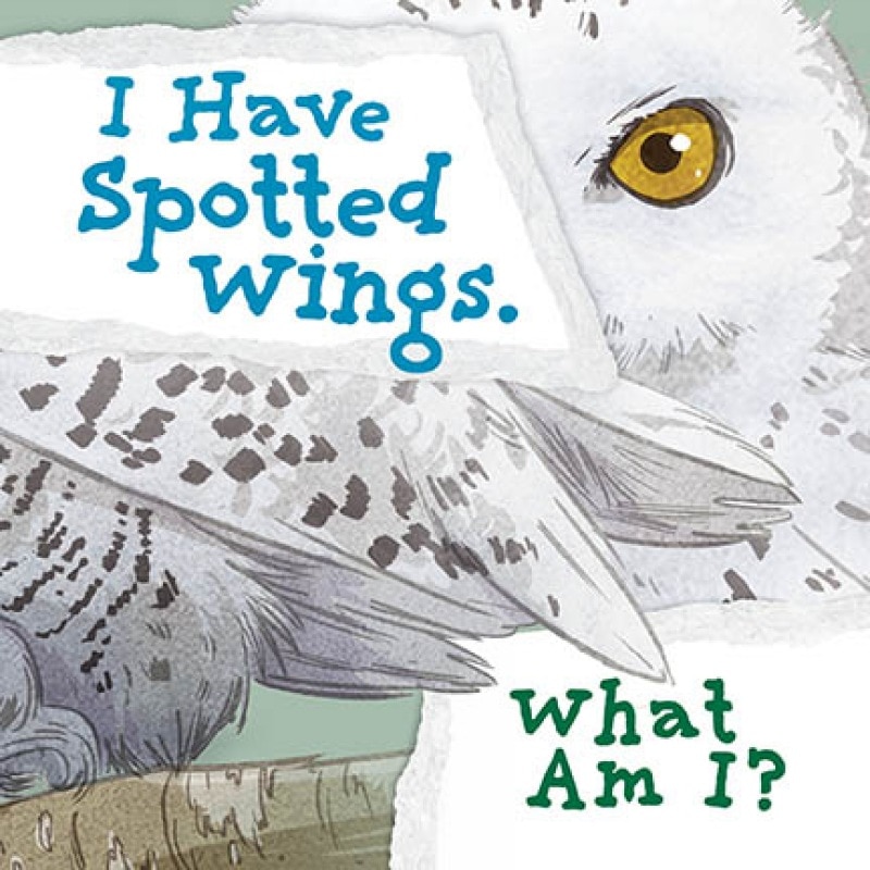 Couverture_I Have Spotted Wings. What Am I?