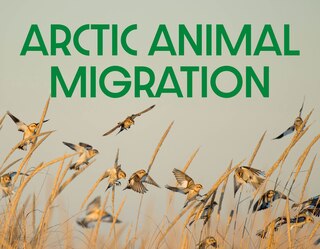 Front cover_Arctic Animal Migration