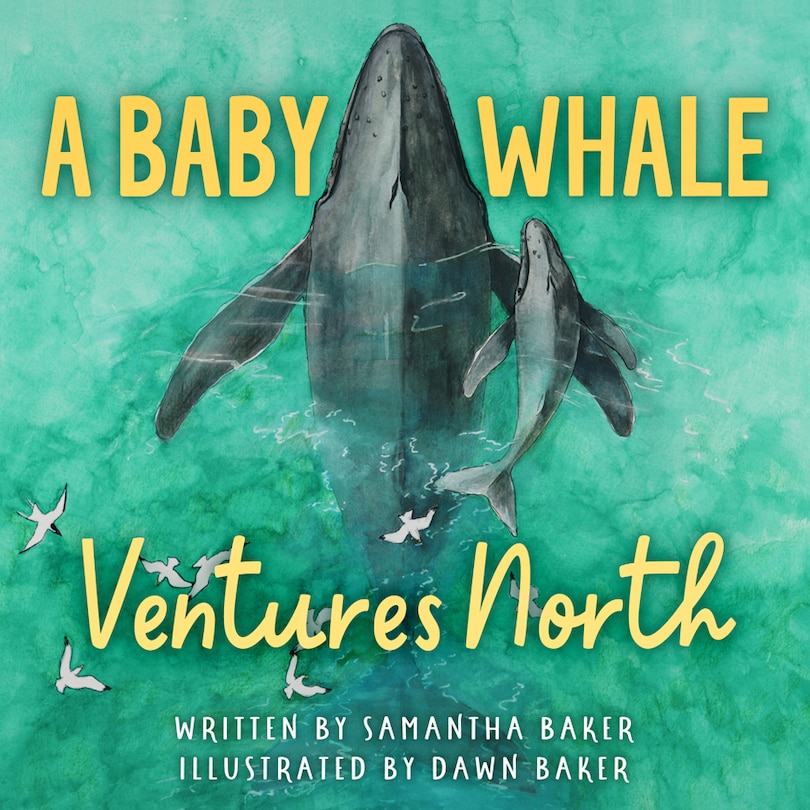 Front cover_A Baby Whale Ventures North