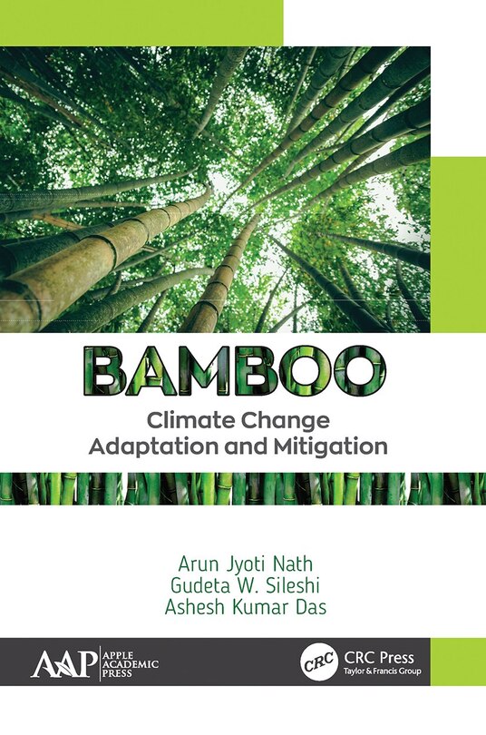 Couverture_Bamboo