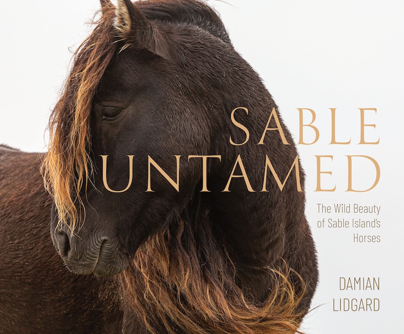 Couverture_Sable Untamed
