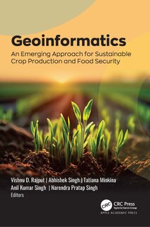 Couverture_Geoinformatics