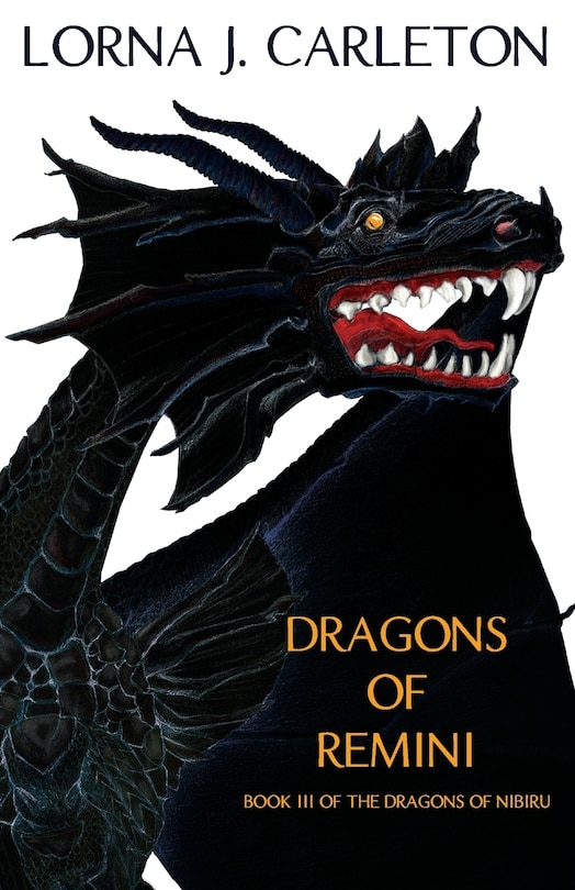 Front cover_Dragons of Remini