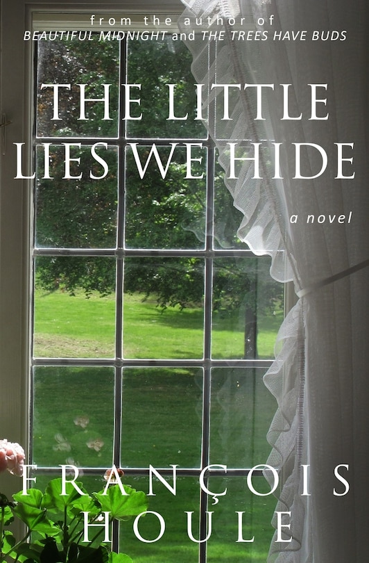 Front cover_The Little Lies We Hide