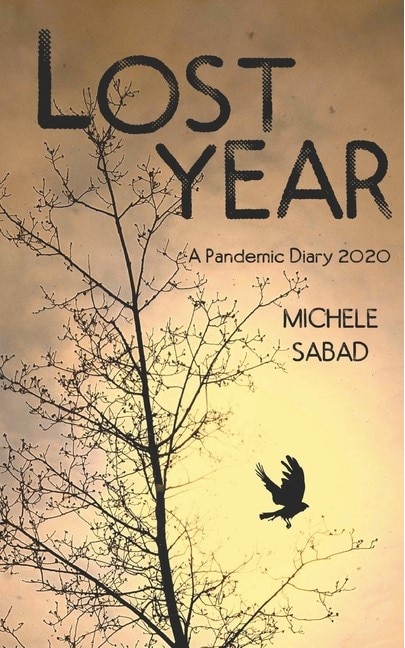 Couverture_Lost Year