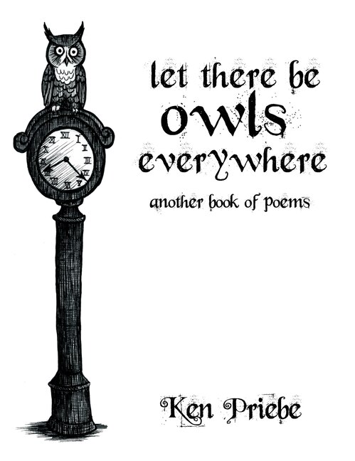 Couverture_Let There Be Owls Everywhere