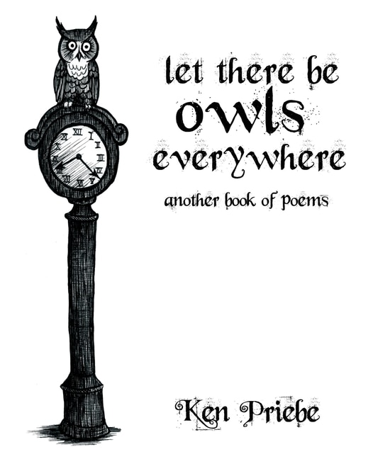 Couverture_Let There Be Owls Everywhere