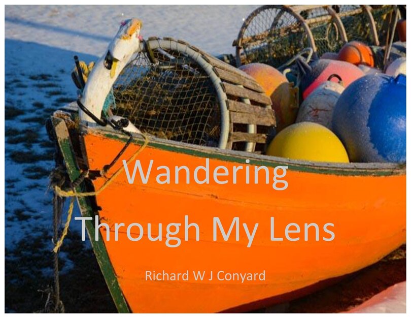 Front cover_Wandering Through My Lens