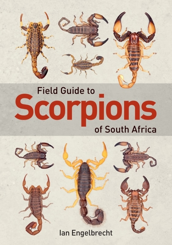 Couverture_Field Guide to Scorpions of South Africa