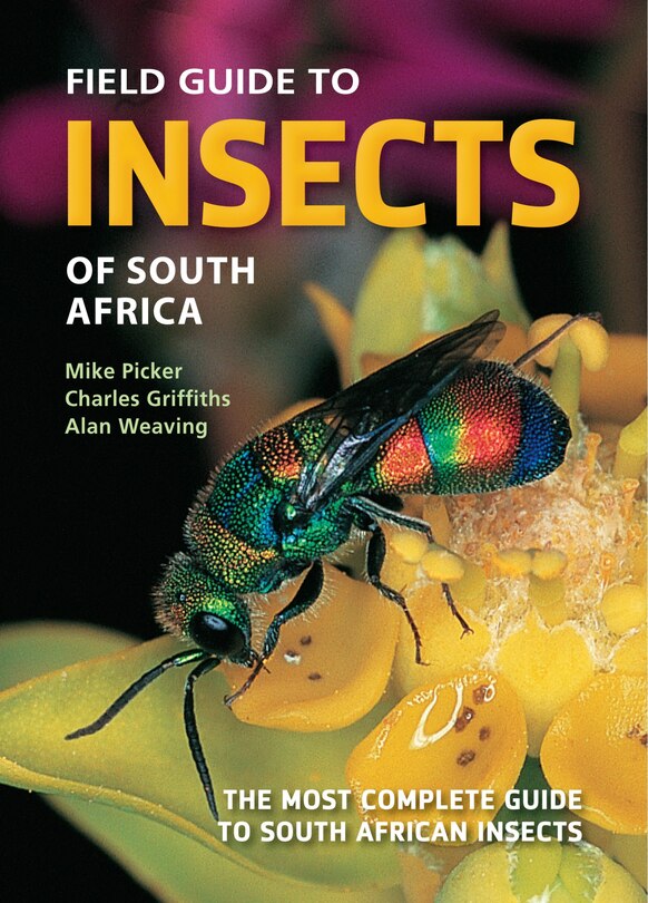 Front cover_Field Guide To Insects Of South Africa
