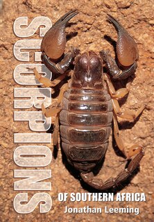 Couverture_Scorpions Of South Africa
