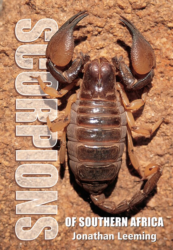 Couverture_Scorpions Of South Africa