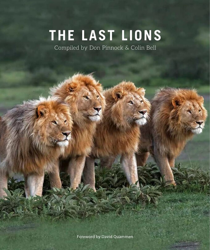 Couverture_Last Lions