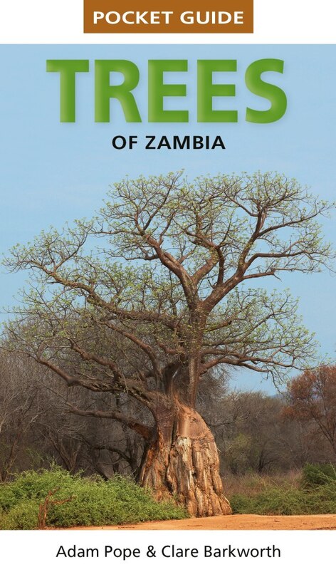 Couverture_Pocket Guide to Trees of Zambia and Malawi