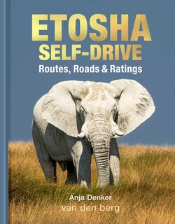 Etosha Self-Drive: Routes, Roads & Ratings