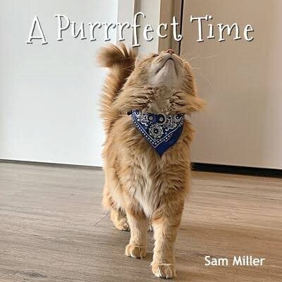 Front cover_A Purrrfect Time