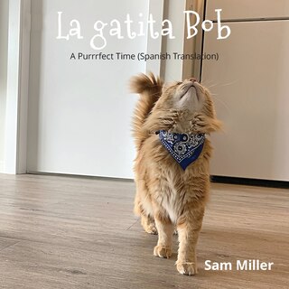 Front cover_La gatita Bob - niño bebé libro prekinder Jardín infantil niña
