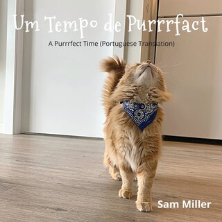 Front cover_Um Tempo de Purrrfact