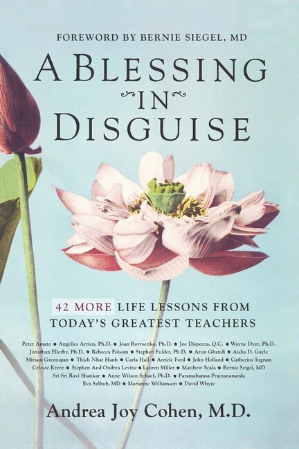 Front cover_A Blessing in Disguise