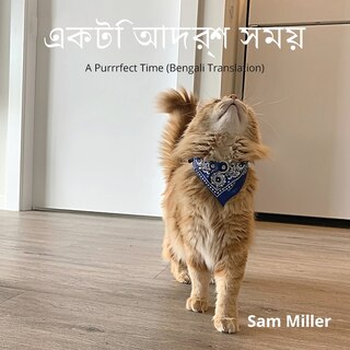 Front cover_একটি আদর্শ সময়