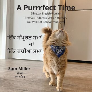 Couverture_ਇੱਕ ਸੰਪੂਰਨ ਸਮਾਂ ਜਾਂ ਇੱਕ ਵਧੀਆ ਸਮਾਂ - A Purrrfect Time