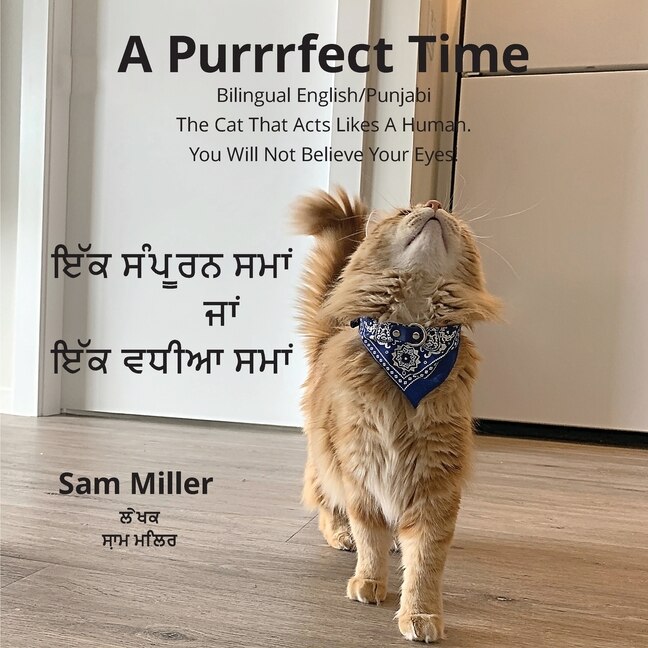 Couverture_ਇੱਕ ਸੰਪੂਰਨ ਸਮਾਂ ਜਾਂ ਇੱਕ ਵਧੀਆ ਸਮਾਂ - A Purrrfect Time
