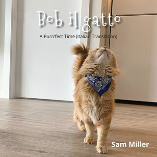 Front cover_Bob il gatto