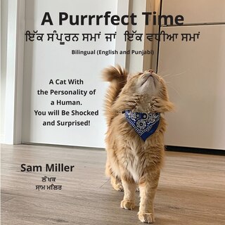 Front cover_ਇੱਕ ਸੰਪੂਰਨ ਸਮਾਂ ਜਾਂ ਇੱਕ ਵਧੀਆ ਸਮਾਂ - A Purrrfect Time