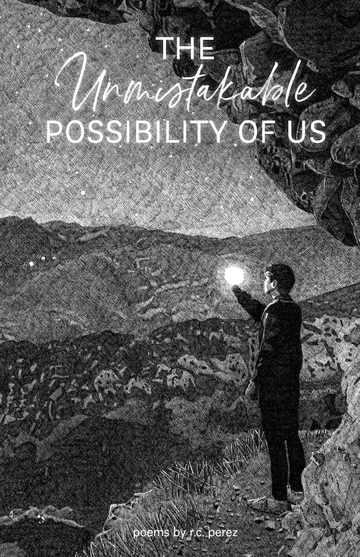 Couverture_The Unmistakable Possibility of Us