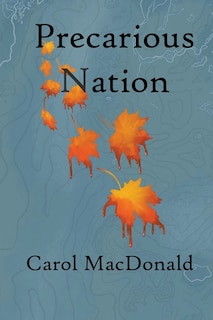 Front cover_Precarious Nation
