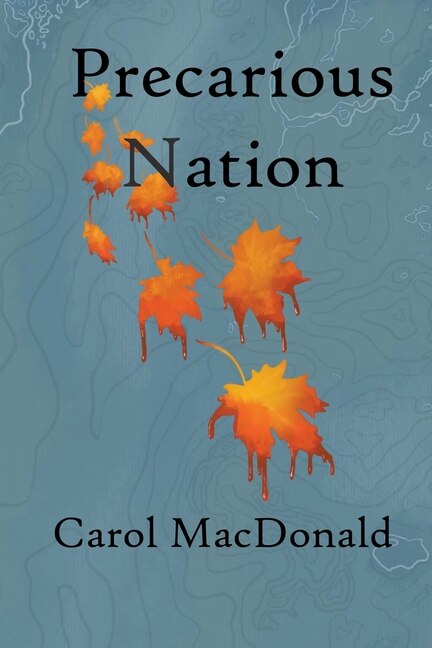 Front cover_Precarious Nation