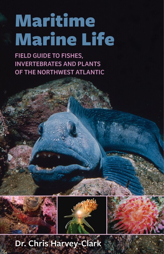 Front cover_Maritime Marine Life