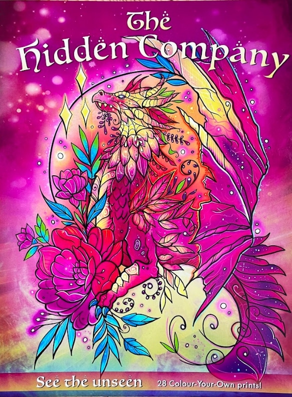 Couverture_The Hidden Company