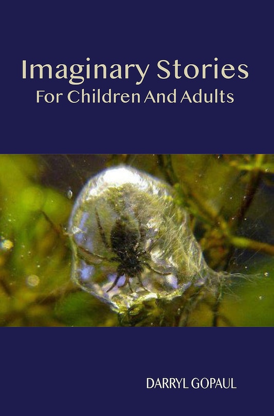 Couverture_Imaginary Stories for Children and Adults