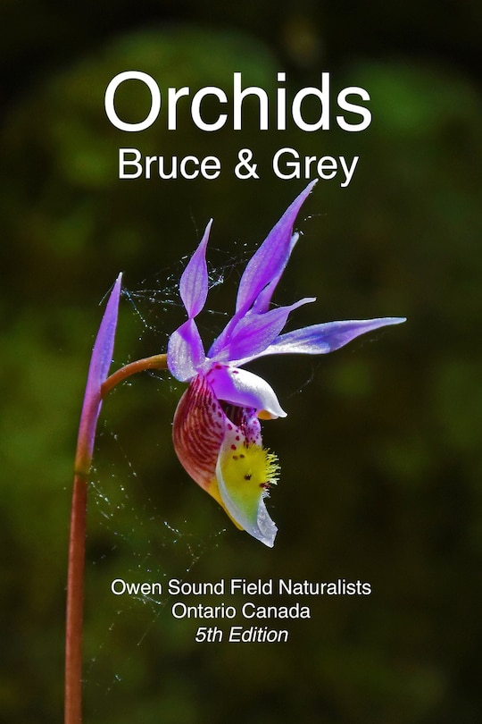 Couverture_Orchids Bruce & Grey