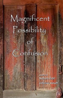 Front cover_Magnificent Possibility of Confusion